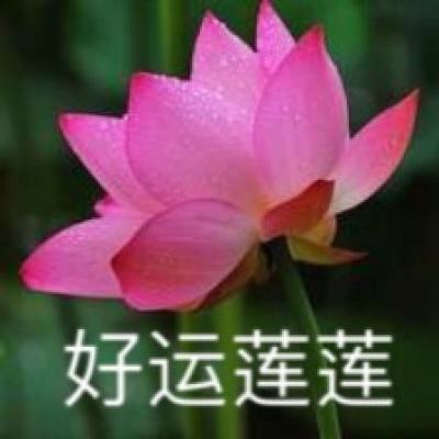 血战龙城gm版下载